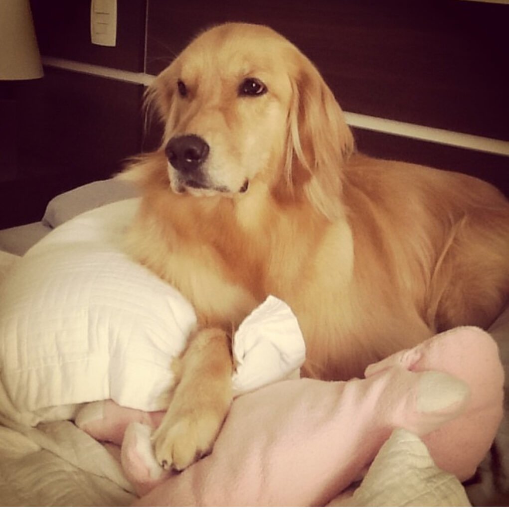 A imagem atual não possui texto alternativo. O nome do arquivo é: IMG_4607-e1763047517777.jpg